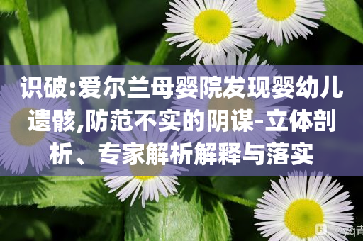 識破:愛爾蘭母嬰院發(fā)現(xiàn)嬰幼兒遺骸,防范不實的陰謀-立體剖析、專家解析解釋與落實