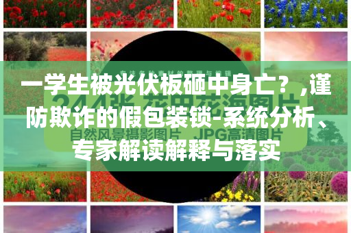 一學(xué)生被光伏板砸中身亡？,謹(jǐn)防欺詐的假包裝鎖-系統(tǒng)分析、專家解讀解釋與落實(shí)