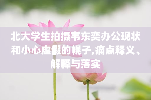 北大學生拍攝韋東奕辦公現(xiàn)狀和小心虛假的幌子,痛點釋義、解釋與落實
