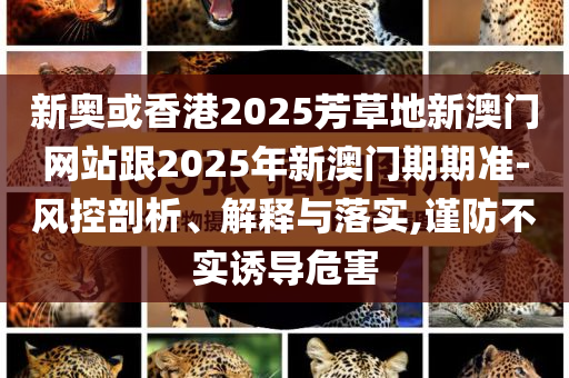 新奧或香港2025芳草地新澳門網(wǎng)站跟2025年新澳門期期準-風控剖析、解釋與落實,謹防不實誘導危害