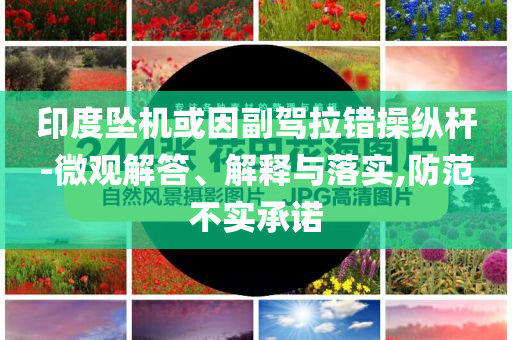 印度墜機或因副駕拉錯操縱桿-微觀解答、解釋與落實,防范不實承諾