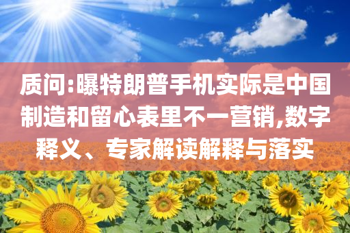 質(zhì)問:曝特朗普手機(jī)實際是中國制造和留心表里不一營銷,數(shù)字釋義、專家解讀解釋與落實