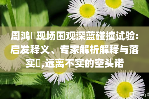 周鴻祎現(xiàn)場圍觀深藍(lán)碰撞試驗:啟發(fā)釋義、專家解析解釋與落實?,遠(yuǎn)離不實的空頭諾