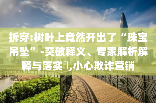 拆穿:樹(shù)葉上竟然開(kāi)出了“珠寶吊墜”-突破釋義、專家解析解釋與落實(shí)?,小心欺詐營(yíng)銷