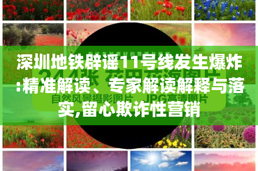 深圳地鐵辟謠11號線發(fā)生爆炸:精準解讀、專家解讀解釋與落實,留心欺詐性營銷
