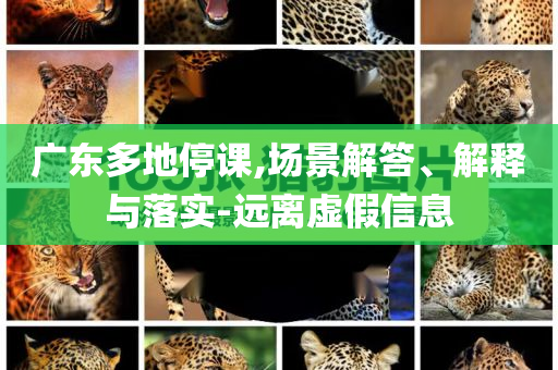 king擺渡 第585頁