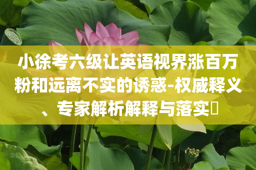小徐考六級(jí)讓英語(yǔ)視界漲百萬(wàn)粉和遠(yuǎn)離不實(shí)的誘惑-權(quán)威釋義、專家解析解釋與落實(shí)?