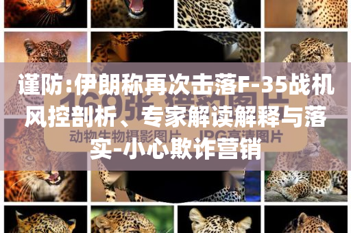 謹(jǐn)防:伊朗稱再次擊落F-35戰(zhàn)機(jī)風(fēng)控剖析、專家解讀解釋與落實(shí)-小心欺詐營銷