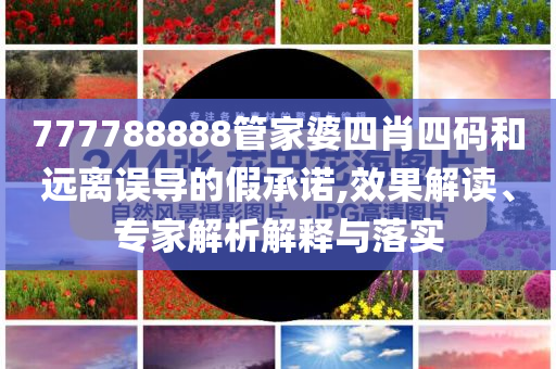777788888管家婆四肖四碼和遠離誤導(dǎo)的假承諾,效果解讀、專家解析解釋與落實