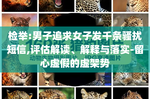 檢舉:男子追求女子發(fā)千條騷擾短信,評(píng)估解讀、解釋與落實(shí)-留心虛假的虛架勢(shì)