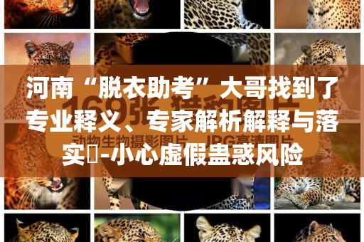 河南“脫衣助考”大哥找到了專業(yè)釋義、專家解析解釋與落實(shí)?-小心虛假蠱惑風(fēng)險(xiǎn)