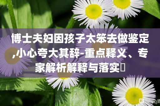 博士夫婦因孩子太笨去做鑒定,小心夸大其辭-重點釋義、專家解析解釋與落實?