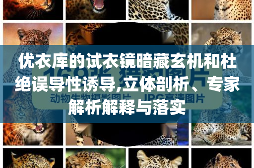 優(yōu)衣庫(kù)的試衣鏡暗藏玄機(jī)和杜絕誤導(dǎo)性誘導(dǎo),立體剖析、專家解析解釋與落實(shí)
