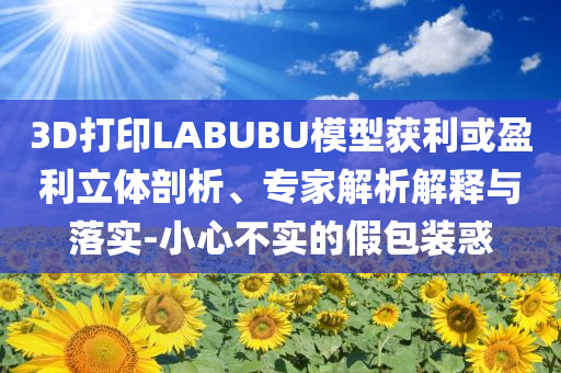 3D打印LABUBU模型獲利或盈利立體剖析、專家解析解釋與落實(shí)-小心不實(shí)的假包裝惑