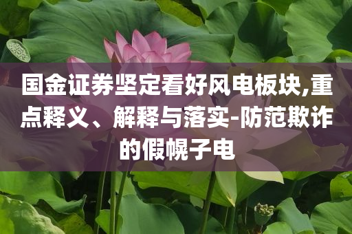 國(guó)金證券堅(jiān)定看好風(fēng)電板塊,重點(diǎn)釋義、解釋與落實(shí)-防范欺詐的假幌子電