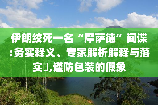 伊朗絞死一名“摩薩德”間諜:務(wù)實釋義、專家解析解釋與落實?,謹(jǐn)防包裝的假象