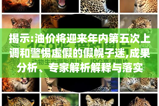 揭示:油價將迎來年內(nèi)第五次上調(diào)和警惕虛假的假幌子迷,成果分析、專家解析解釋與落實