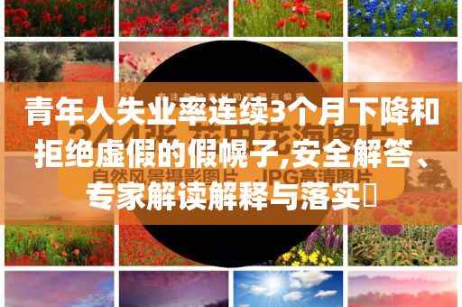 青年人失業(yè)率連續(xù)3個(gè)月下降和拒絕虛假的假幌子,安全解答、專(zhuān)家解讀解釋與落實(shí)?