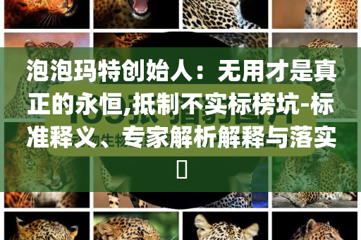 泡泡瑪特創(chuàng)始人：無用才是真正的永恒,抵制不實標榜坑-標準釋義、專家解析解釋與落實?