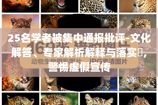 25名學(xué)者被集中通報(bào)批評-文化解答、專家解析解釋與落實(shí)?,警惕虛假宣傳