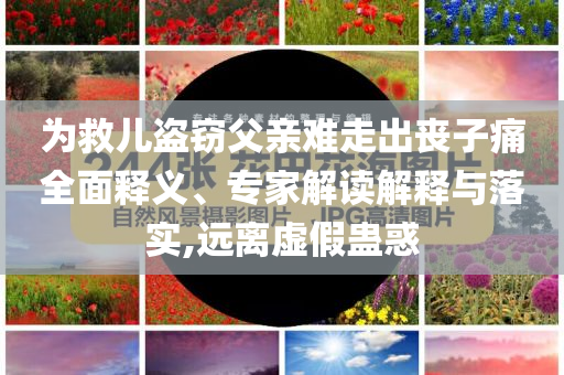 為救兒盜竊父親難走出喪子痛全面釋義、專家解讀解釋與落實(shí),遠(yuǎn)離虛假蠱惑