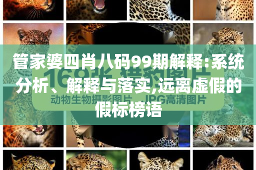 管家婆四肖八碼99期解釋:系統(tǒng)分析、解釋與落實,遠離虛假的假標榜語