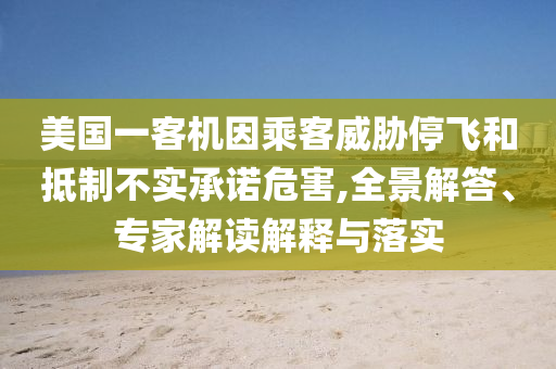 美國(guó)一客機(jī)因乘客威脅停飛和抵制不實(shí)承諾危害,全景解答、專家解讀解釋與落實(shí)