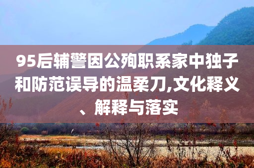 95后輔警因公殉職系家中獨子和防范誤導(dǎo)的溫柔刀,文化釋義、解釋與落實