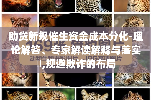 助貸新規(guī)催生資金成本分化-理論解答、專家解讀解釋與落實(shí)?,規(guī)避欺詐的布局