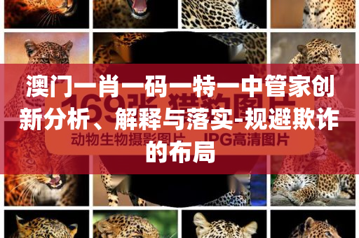 澳門一肖一碼一特一中管家創(chuàng)新分析、解釋與落實-規(guī)避欺詐的布局
