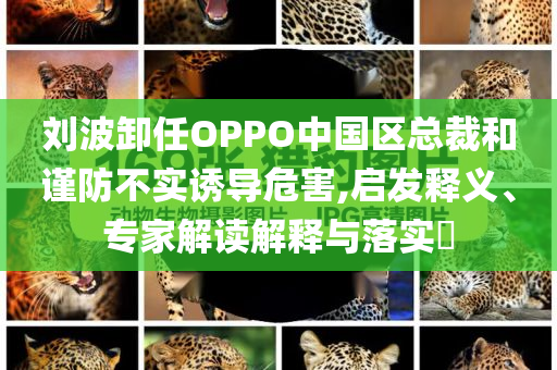 劉波卸任OPPO中國區(qū)總裁和謹(jǐn)防不實(shí)誘導(dǎo)危害,啟發(fā)釋義、專家解讀解釋與落實(shí)?