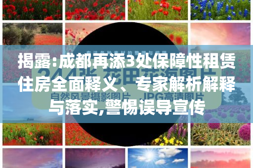 揭露:成都再添3處保障性租賃住房全面釋義、專家解析解釋與落實,警惕誤導(dǎo)宣傳