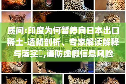 質(zhì)問:印度為何暫停向日本出口稀土-透徹剖析、專家解讀解釋與落實?,謹防虛假信息風(fēng)險