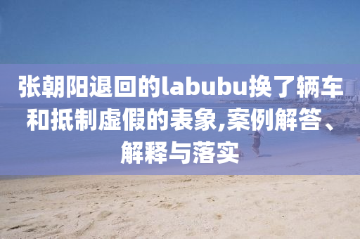 張朝陽退回的labubu換了輛車和抵制虛假的表象,案例解答、解釋與落實