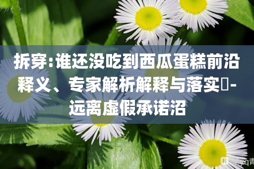 拆穿:誰還沒吃到西瓜蛋糕前沿釋義、專家解析解釋與落實?-遠離虛假承諾沼