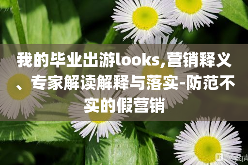 我的畢業(yè)出游looks,營銷釋義、專家解讀解釋與落實-防范不實的假營銷