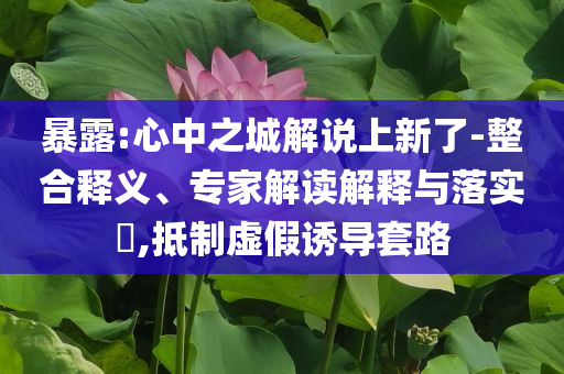 暴露:心中之城解說上新了-整合釋義、專家解讀解釋與落實?,抵制虛假誘導套路