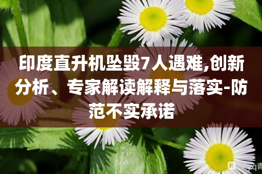 印度直升機墜毀7人遇難,創(chuàng)新分析、專家解讀解釋與落實-防范不實承諾