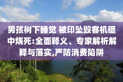 男孩樹下睡覺 被印墜毀客機(jī)砸中燒死:全面釋義、專家解析解釋與落實(shí),嚴(yán)防消費(fèi)陷阱