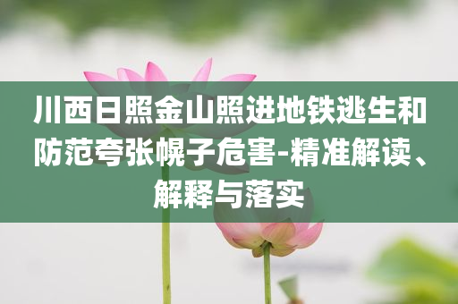 川西日照金山照進(jìn)地鐵逃生和防范夸張幌子危害-精準(zhǔn)解讀、解釋與落實