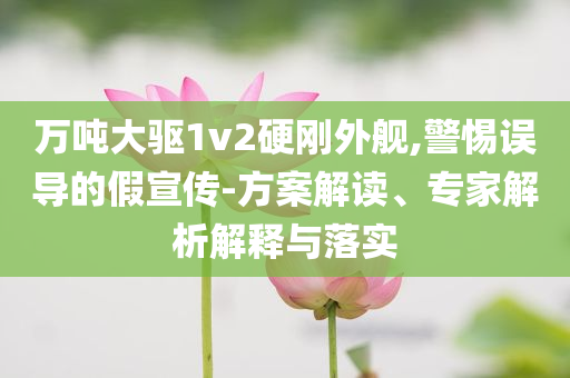 萬(wàn)噸大驅(qū)1v2硬剛外艦,警惕誤導(dǎo)的假宣傳-方案解讀、專(zhuān)家解析解釋與落實(shí)