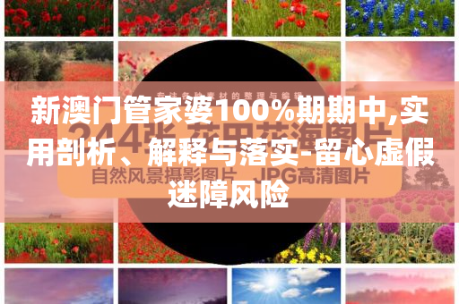 新澳門管家婆100%期期中,實(shí)用剖析、解釋與落實(shí)-留心虛假迷障風(fēng)險(xiǎn)