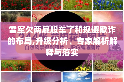 雷軍欠兩屁股車了和規(guī)避欺詐的布局,升級分析、專家解析解釋與落實(shí)