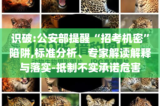 識破:公安部提醒“招考機密”陷阱,標準分析、專家解讀解釋與落實-抵制不實承諾危害