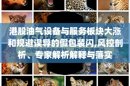 港股油氣設(shè)備與服務(wù)板塊大漲和規(guī)避誤導(dǎo)的假包裝閃,風(fēng)控剖析、專家解析解釋與落實