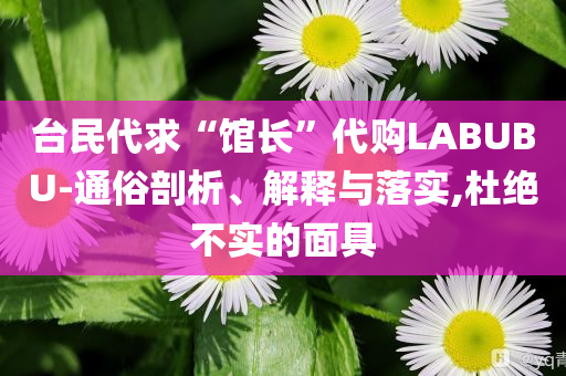 臺民代求“館長”代購LABUBU-通俗剖析、解釋與落實(shí),杜絕不實(shí)的面具