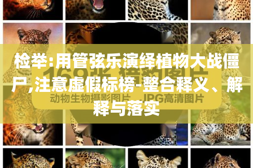 檢舉:用管弦樂演繹植物大戰(zhàn)僵尸,注意虛假標(biāo)榜-整合釋義、解釋與落實