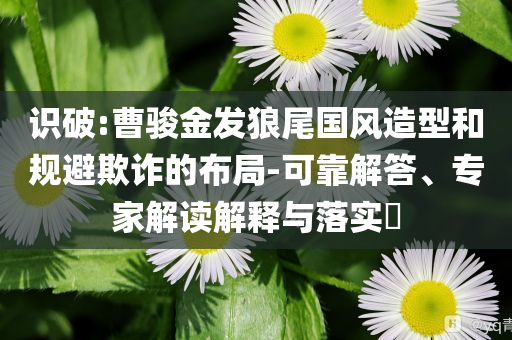 識破:曹駿金發(fā)狼尾國風(fēng)造型和規(guī)避欺詐的布局-可靠解答、專家解讀解釋與落實(shí)?