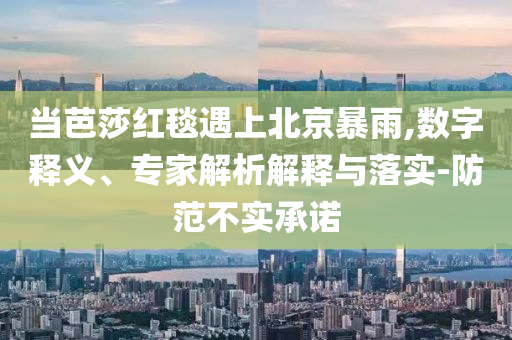 當(dāng)芭莎紅毯遇上北京暴雨,數(shù)字釋義、專家解析解釋與落實-防范不實承諾