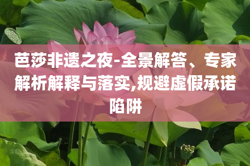 芭莎非遺之夜-全景解答、專家解析解釋與落實(shí),規(guī)避虛假承諾陷阱